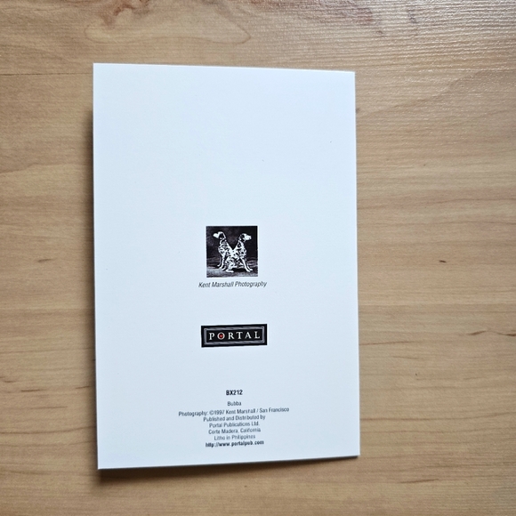 Note Cards with Envelopes Cat Set of 9 - Picture 3 of 3